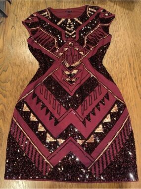 Express Burgundy and Rose Gold Sequin Bodycon Mini Dress